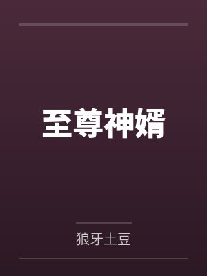 至尊神婿 至尊神婿